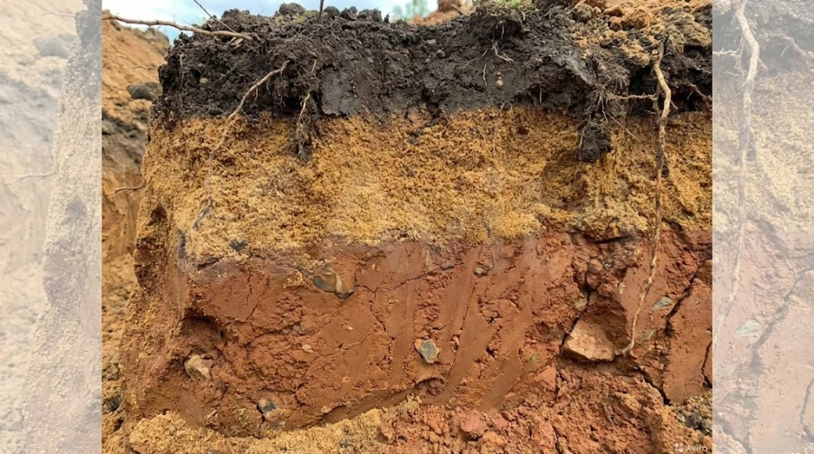 tipy-pochvy-na-kladbishche