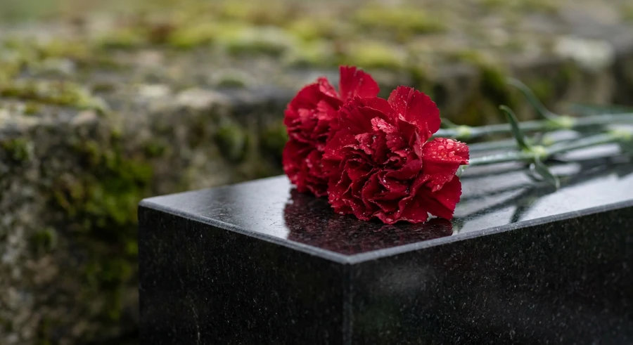 01-dve-gvozdiki-na-granite.png